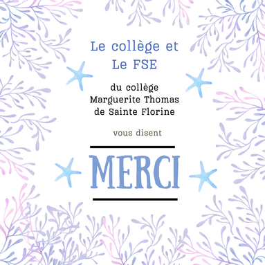 Le collège et Le FSE.png