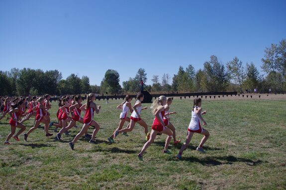 cross2bis.jpg